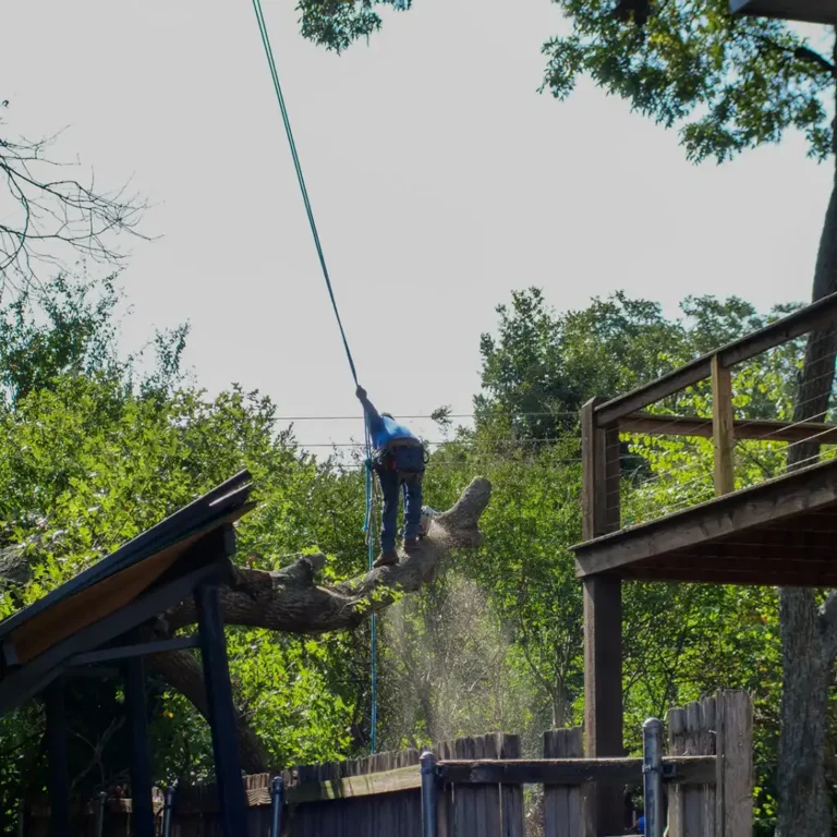 CLIMBING LINE & DRT