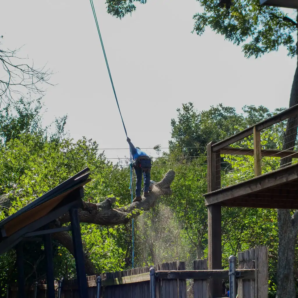 CLIMBING LINE & DRT
