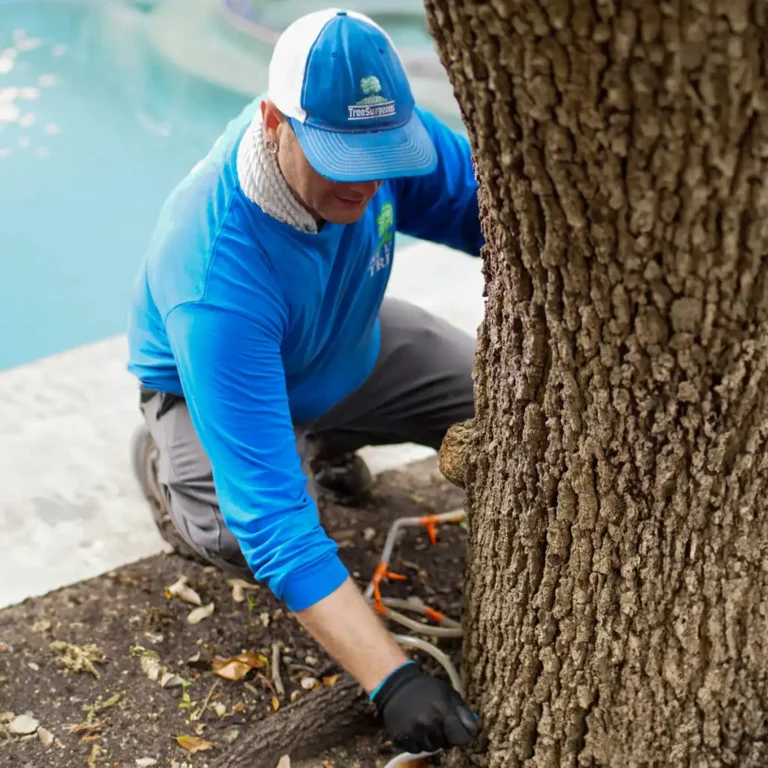 OAK WILT TREATMENT