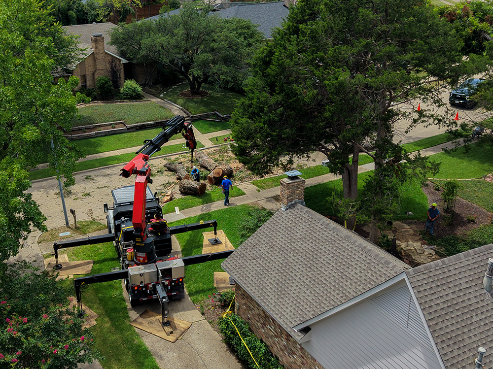Plano Tree Service
