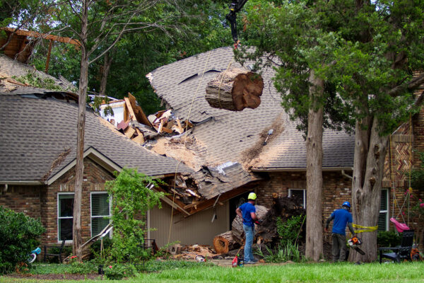 Emergency Tree Service