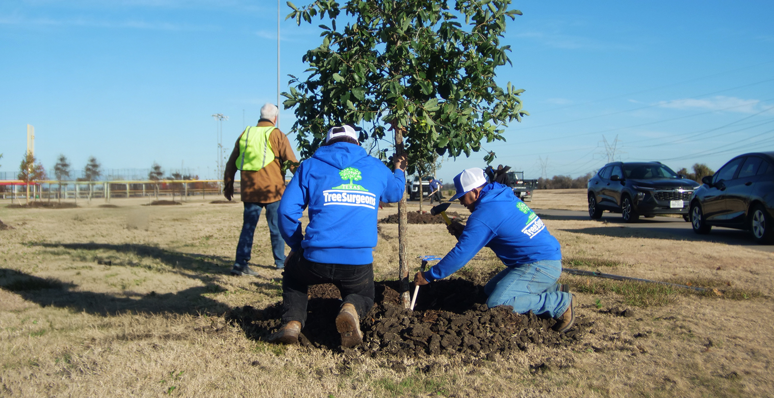 Trophy Club Tree Planting