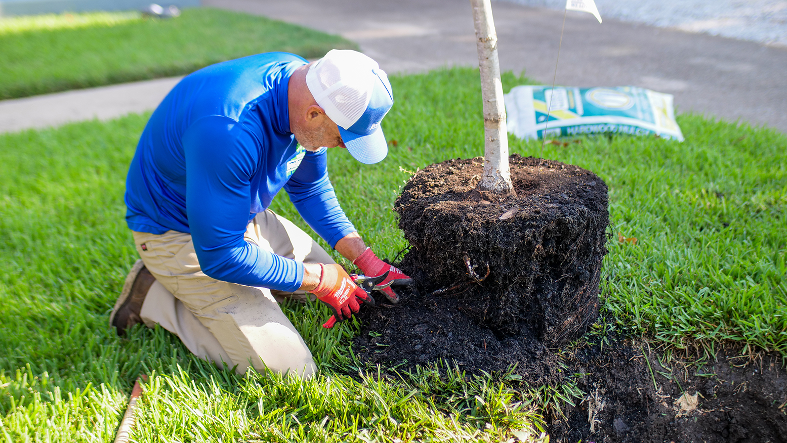 North Richland Hills Tree Planting