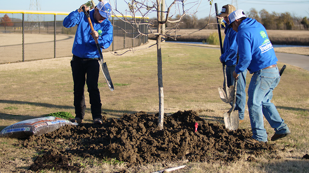 Irving Tree Planting
