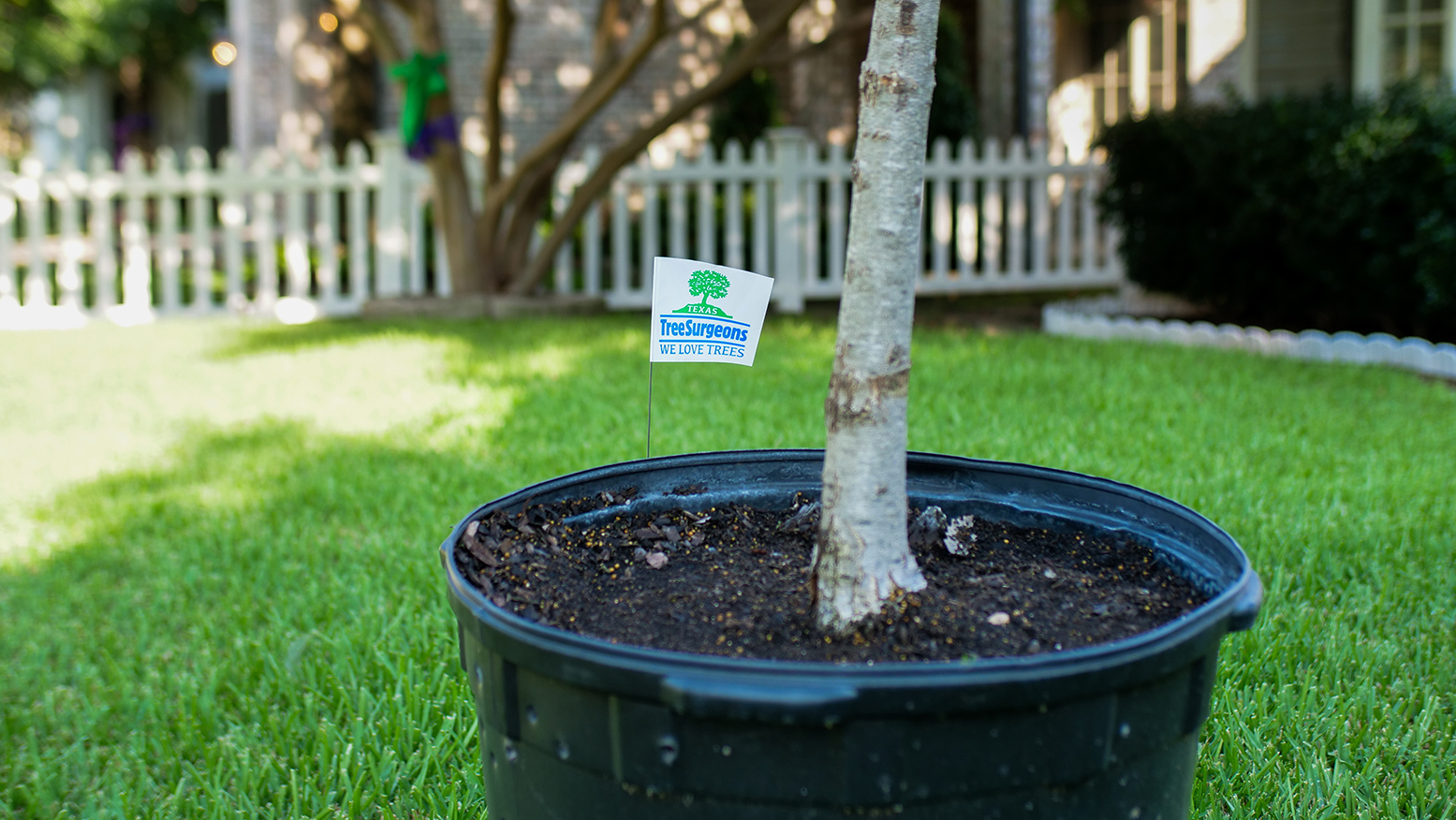 Highland Park Tree Planting