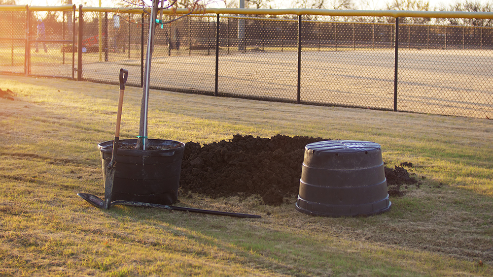 Garland Tree Planting