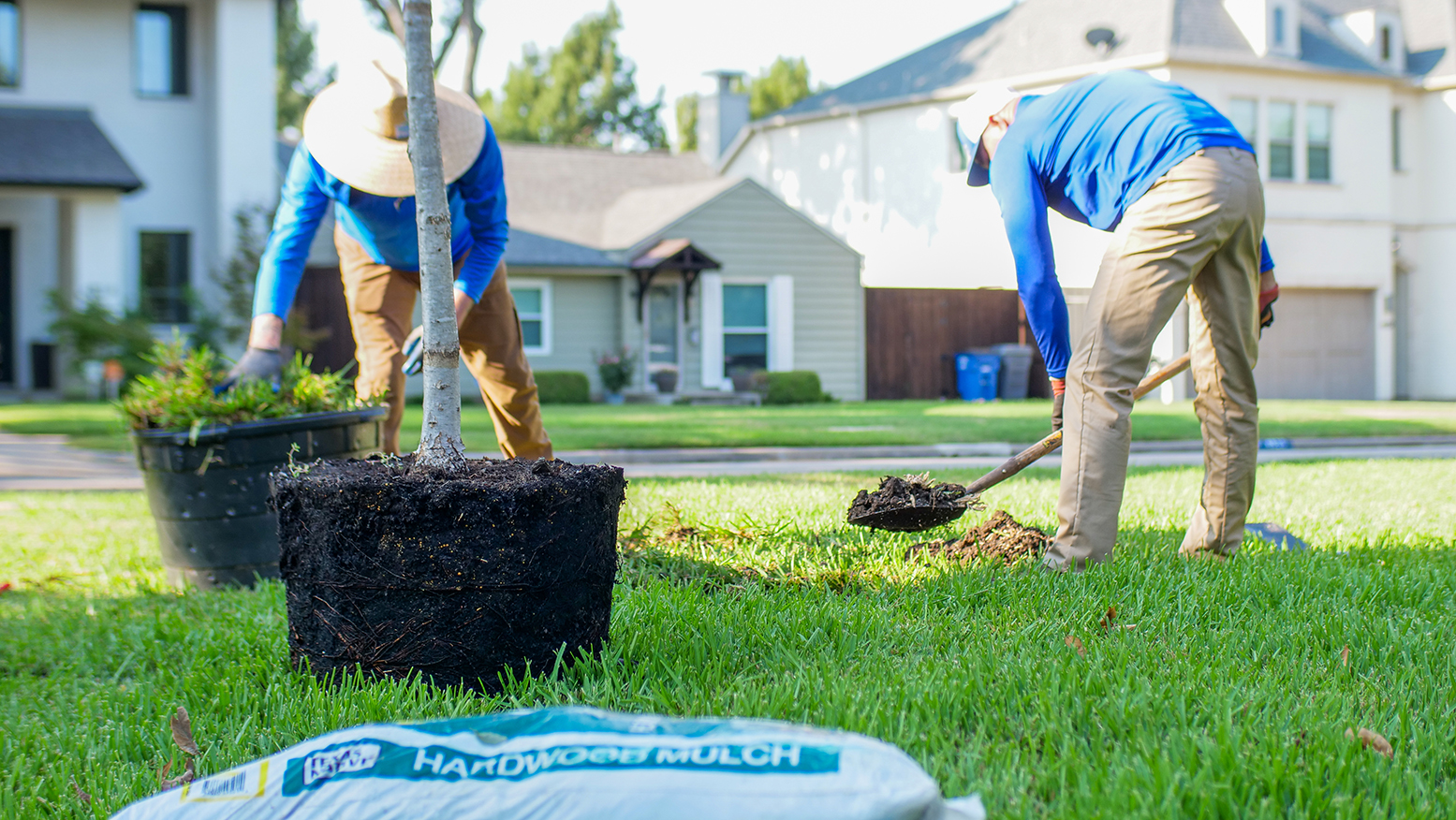 Fort Worth Tree Planting