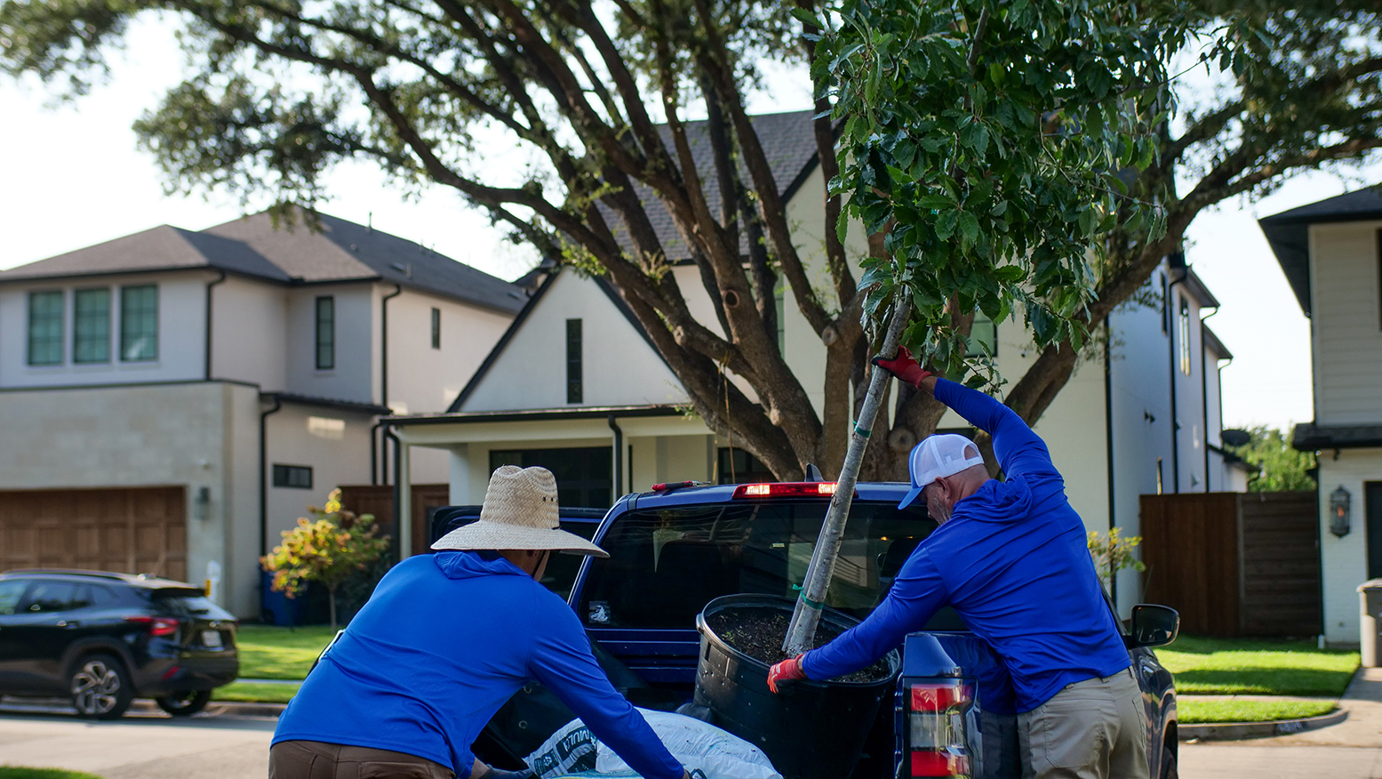 Euless Tree Planting