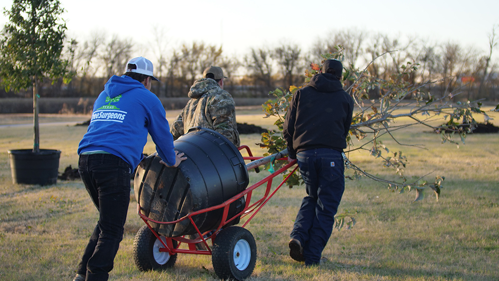 Coppell Tree Planting