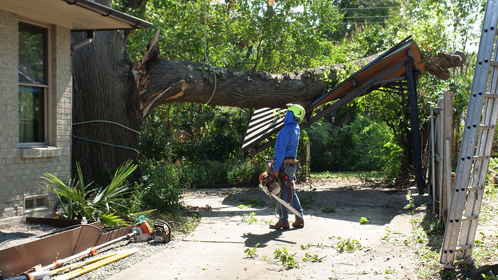 Colleyville Emergency Tree Services