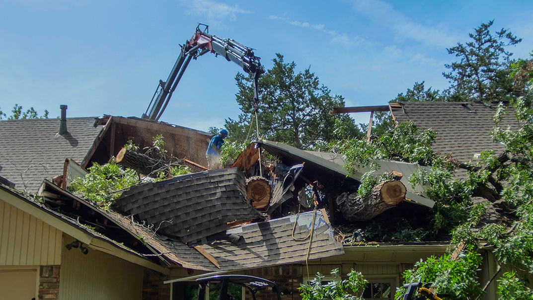 Fort Worth Emergency Tree Services