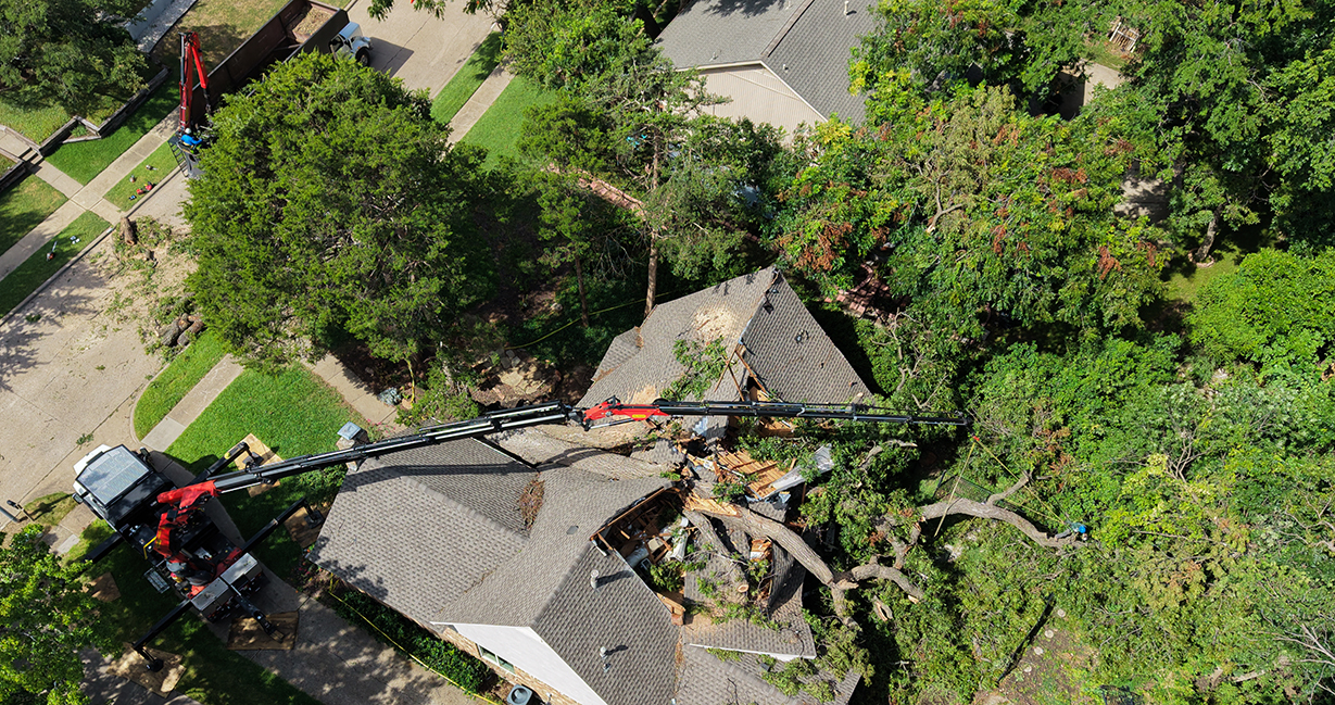 Highland Park Emergency Tree Services