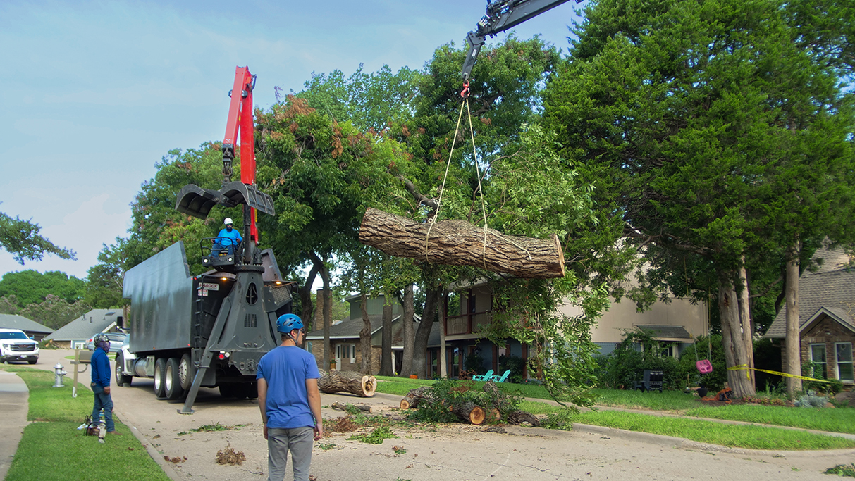 Lewisville Emergency Tree Services