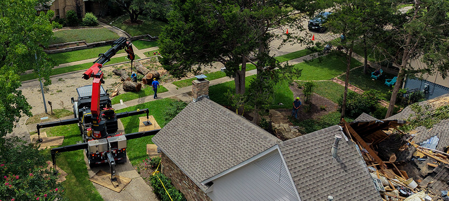 McKinney Emergency Tree Services