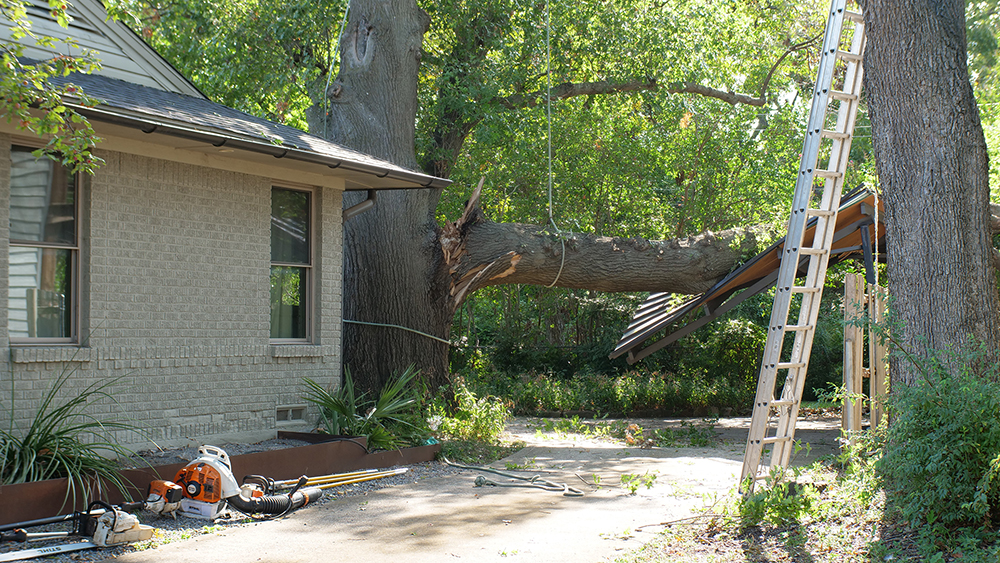 North Richland Hills Emergency Tree Services