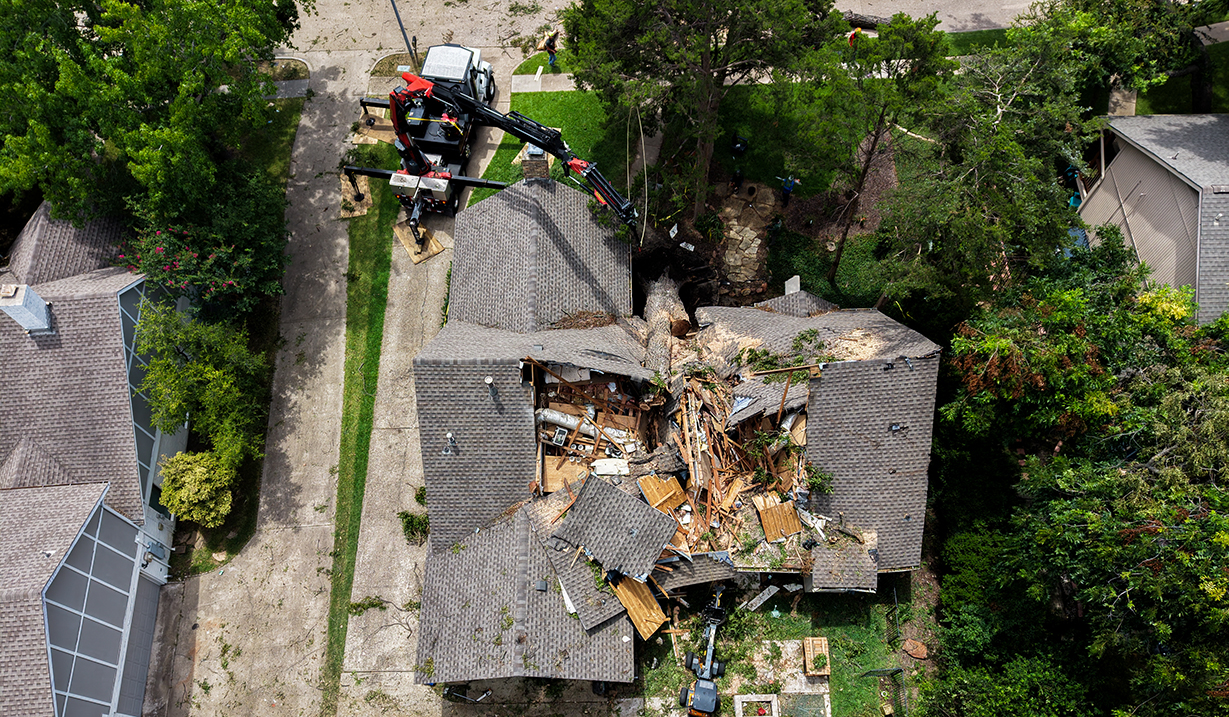 Plano Emergency Tree Services