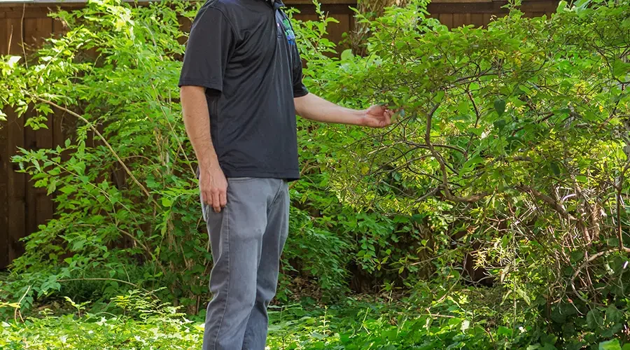 Murphy Texas Tree Surgeons Arborist Services Icon