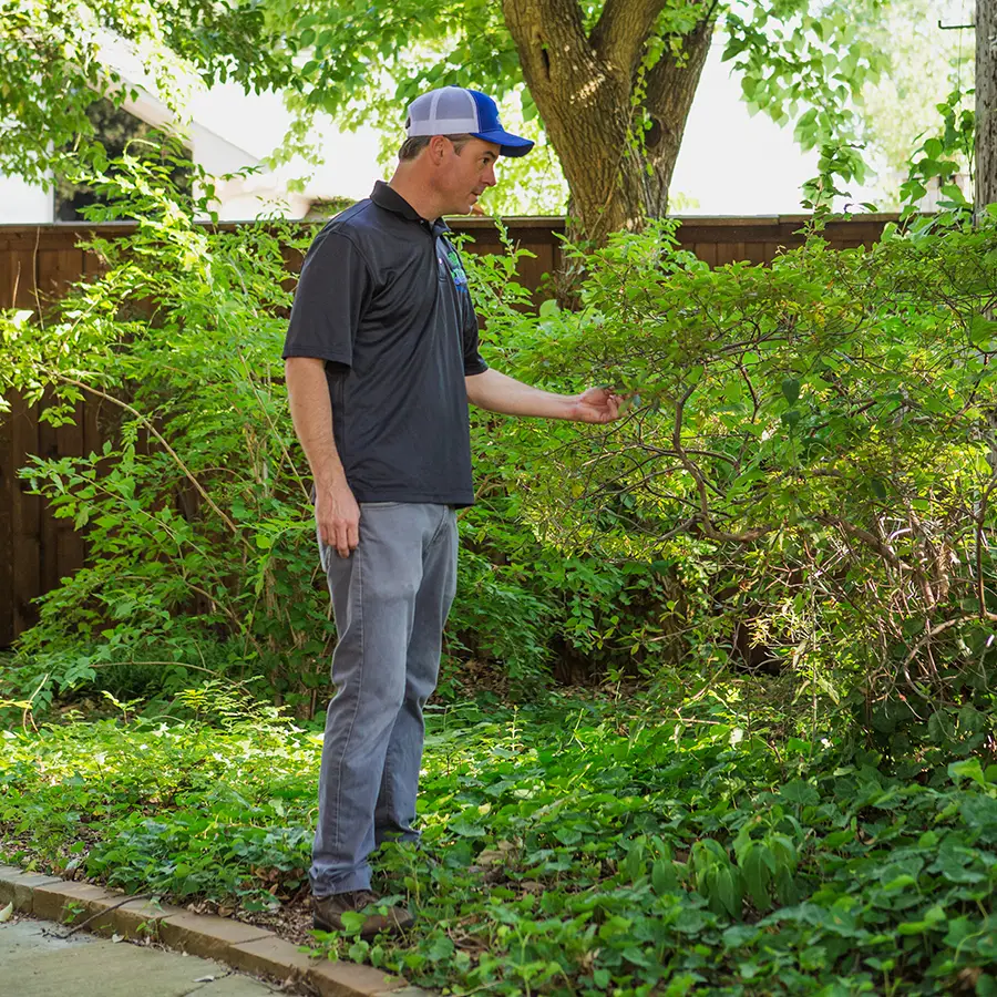 Murphy Arborist Services