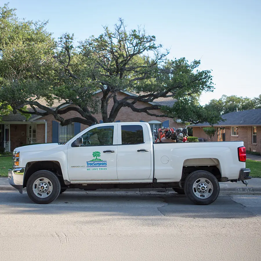 Murphy Tree Health Care