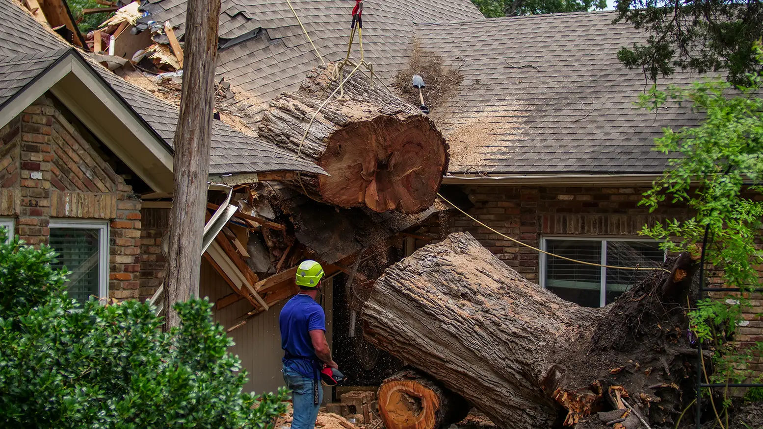 Murphy Emergency Tree Services