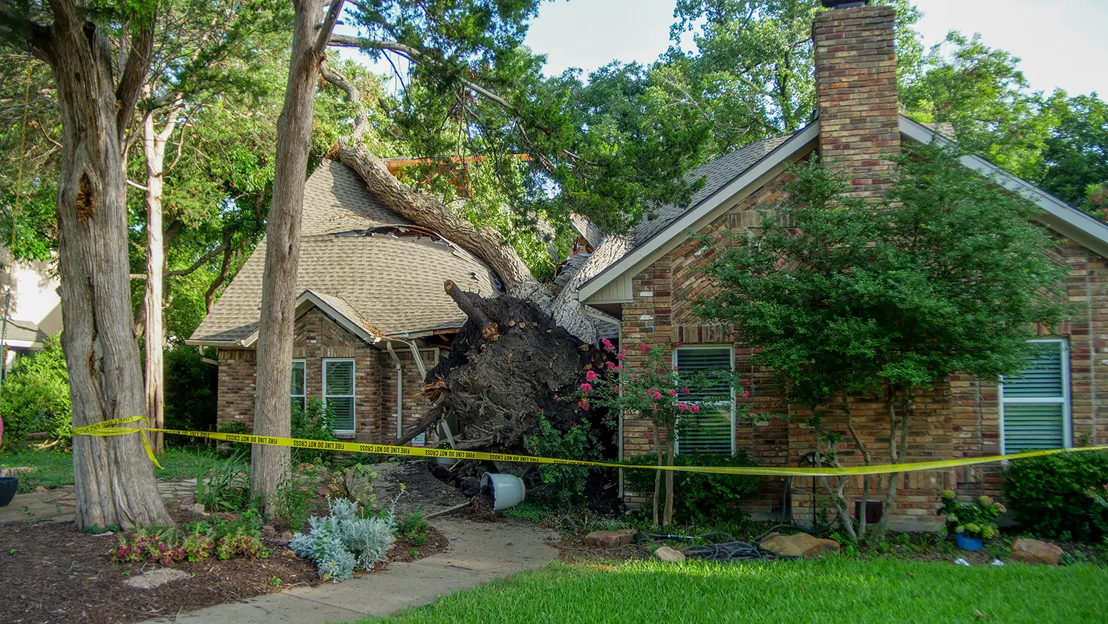 Addison Emergency Tree Services
