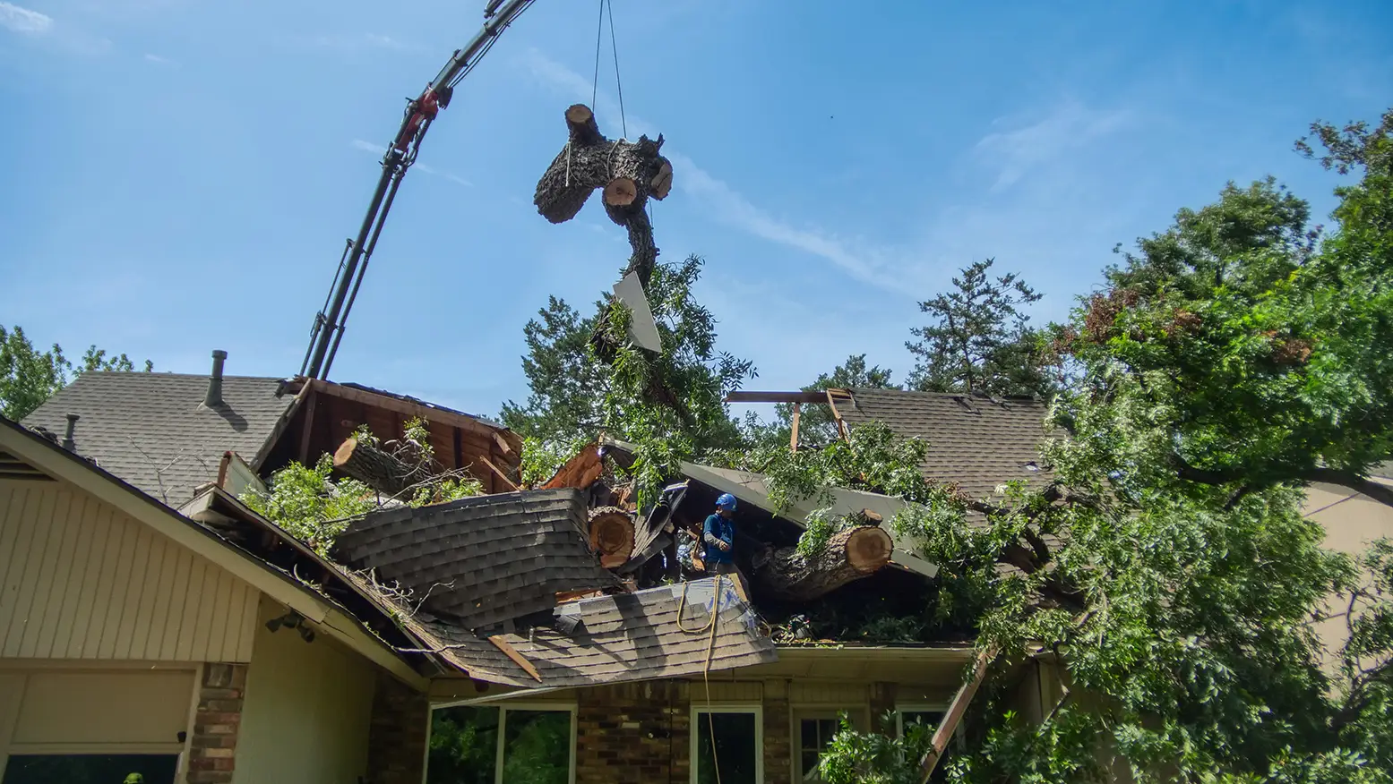 Arlington Emergency Tree Services