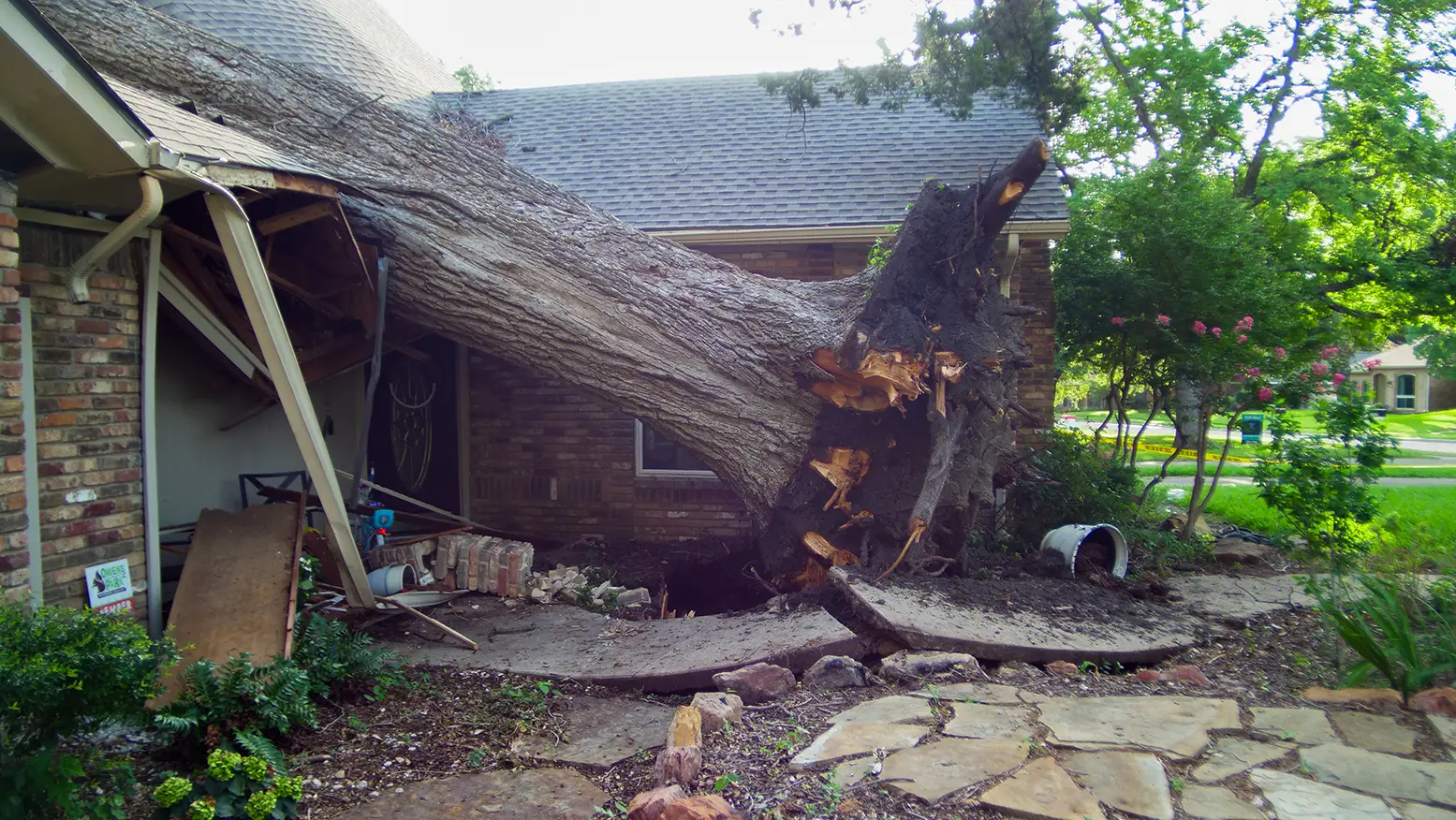Carrollton Emergency Tree Services