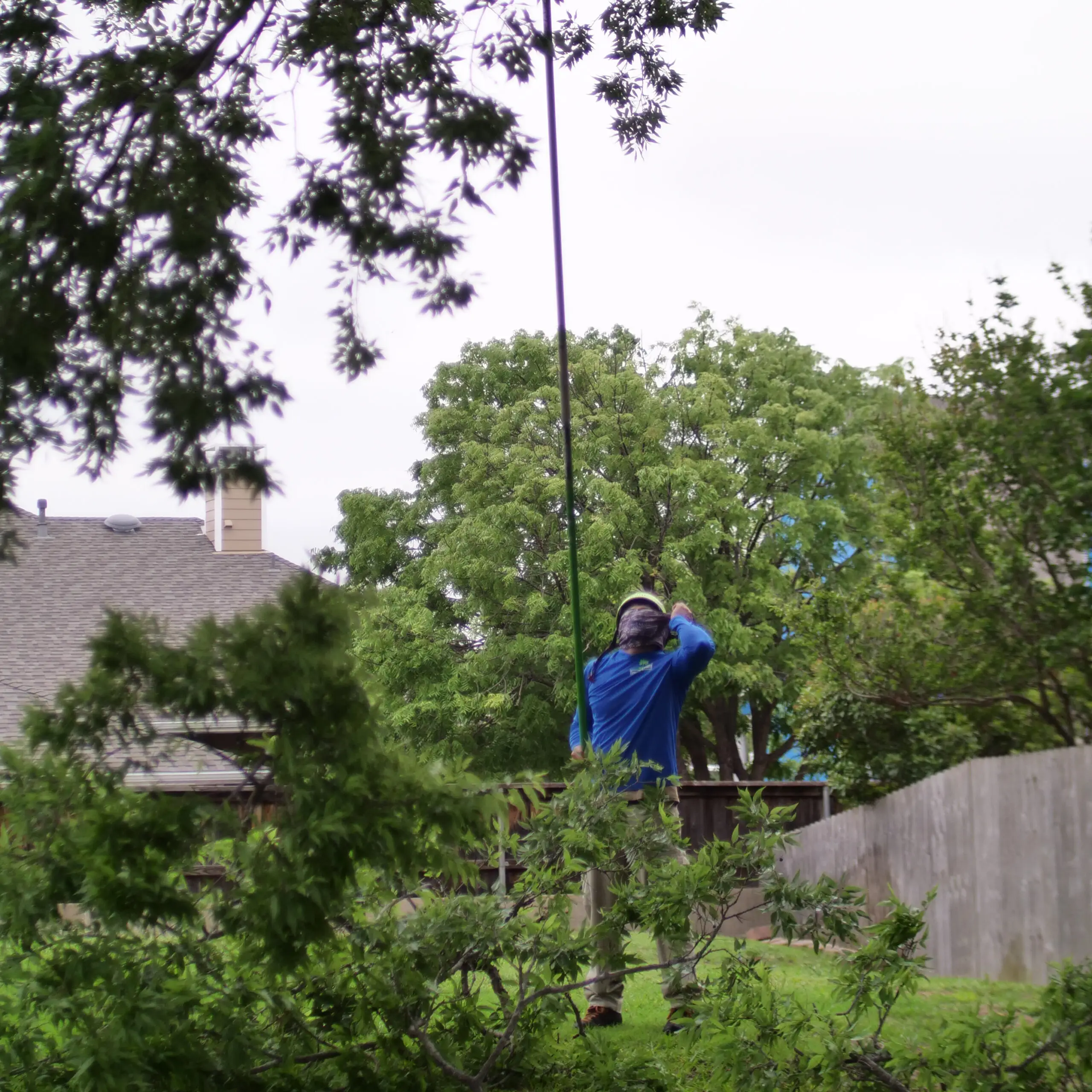 Coppell Tree Trimming