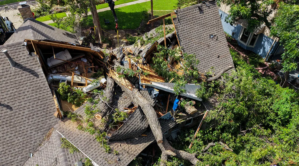 Coppell Emergency Tree Services