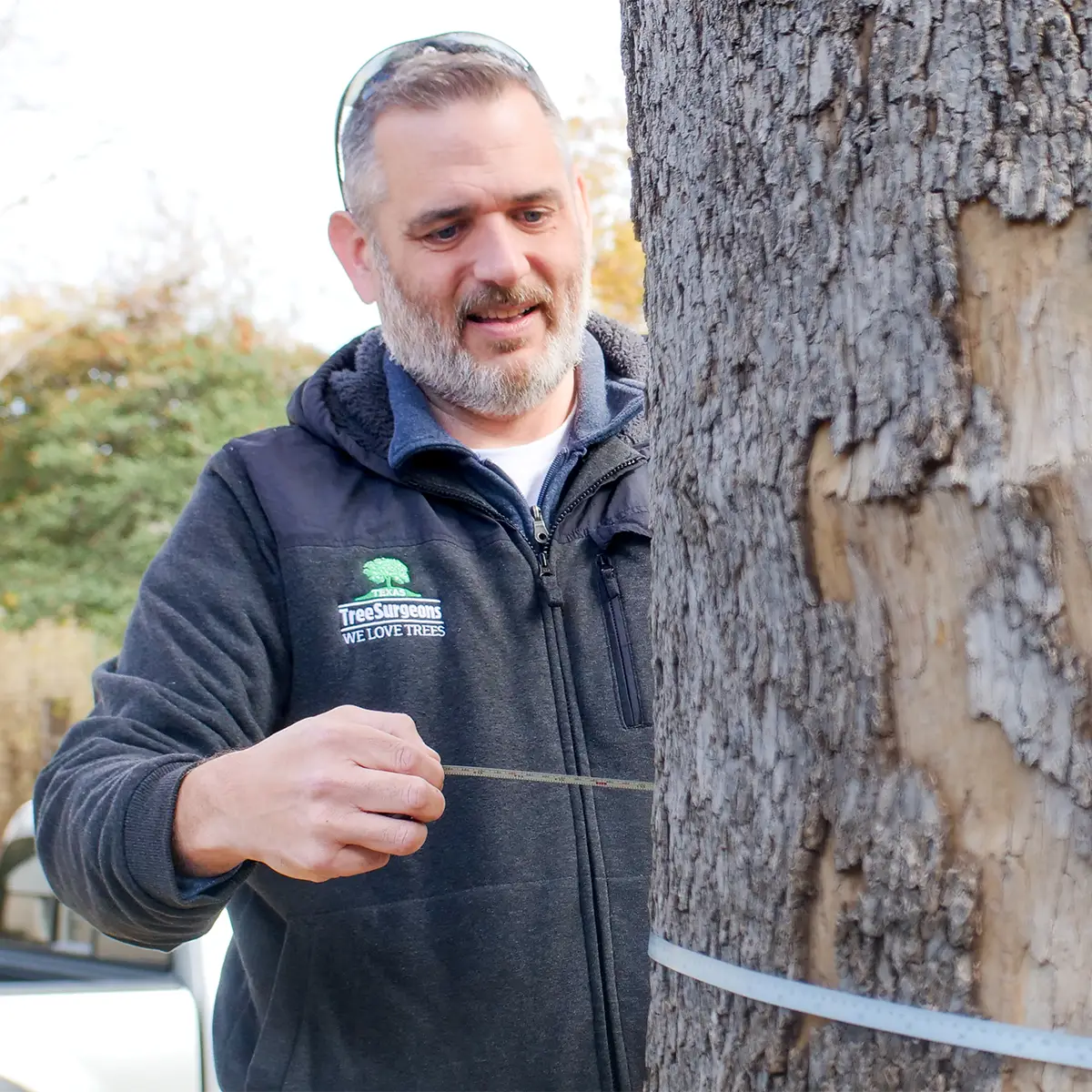 Dallas Local Tree Experts