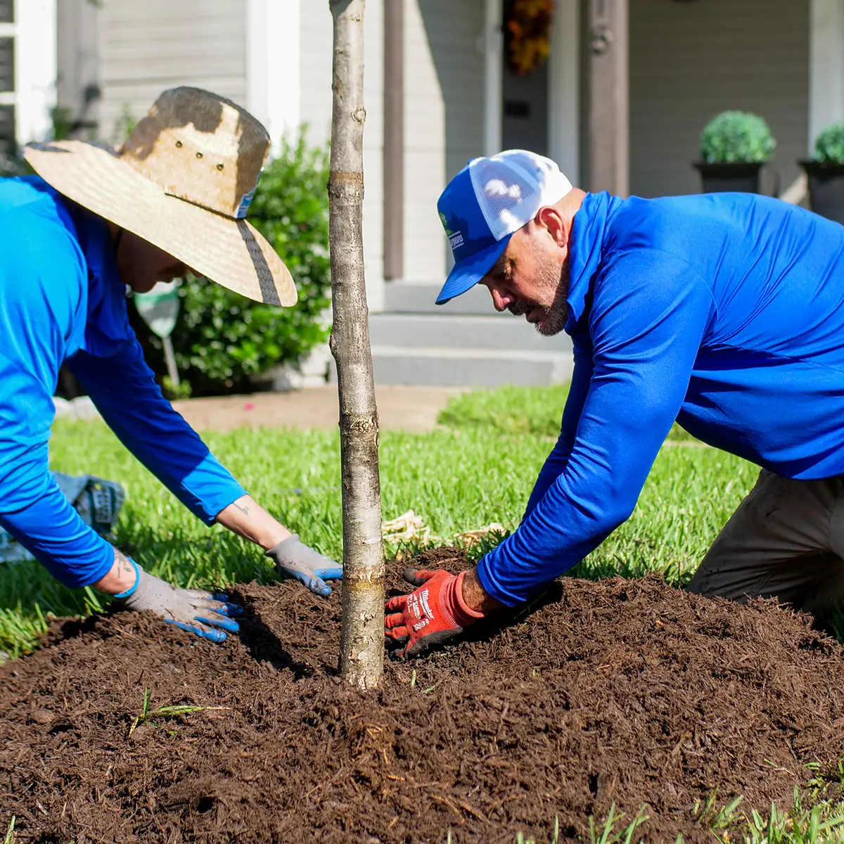 Dallas Tree Planting