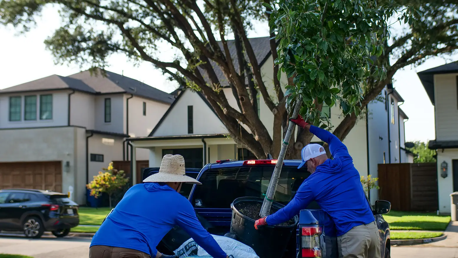 Euless Tree Planting