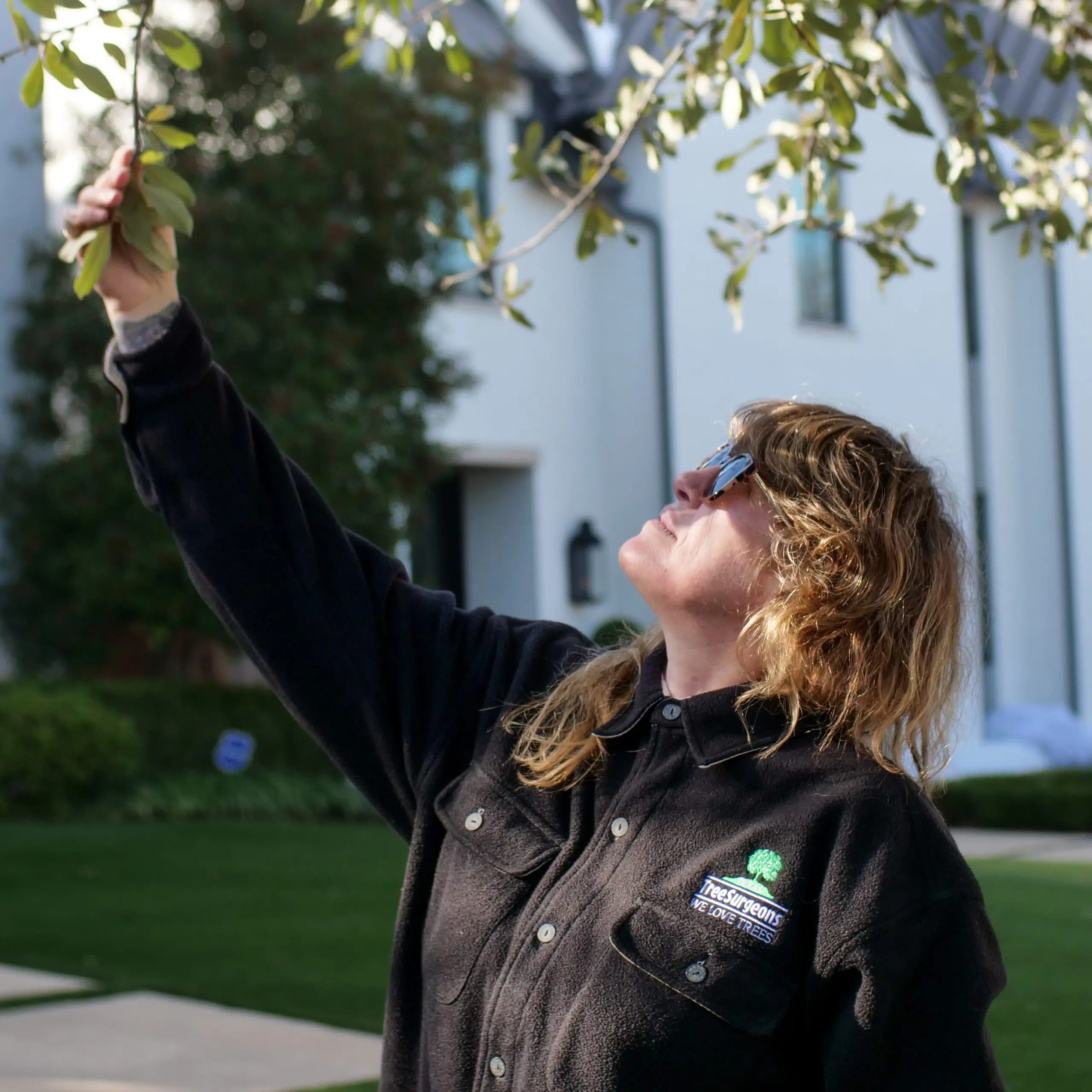 Flower Mound Arborist Services