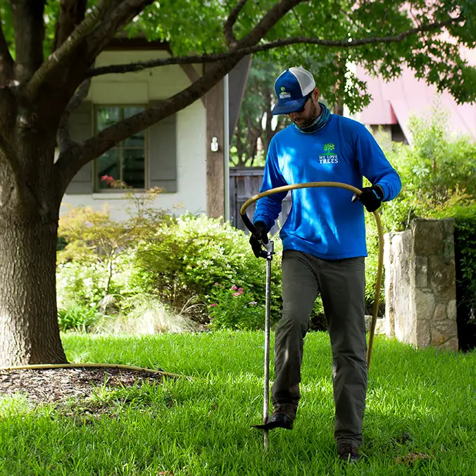 Flower Mound Tree Health Care