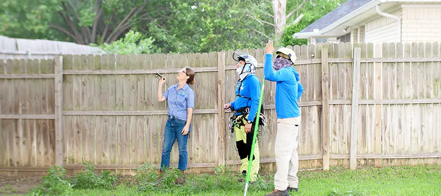 Fort Worth Arborist Services