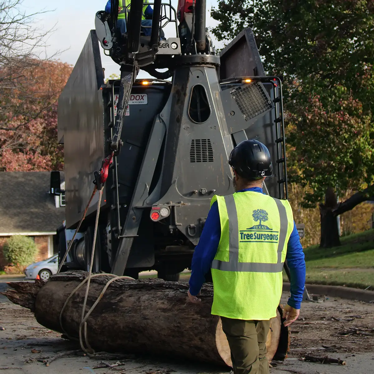 Fort Worth Local Tree Experts
