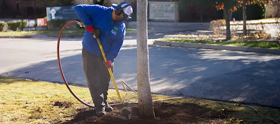Fort Worth Tree Health Care