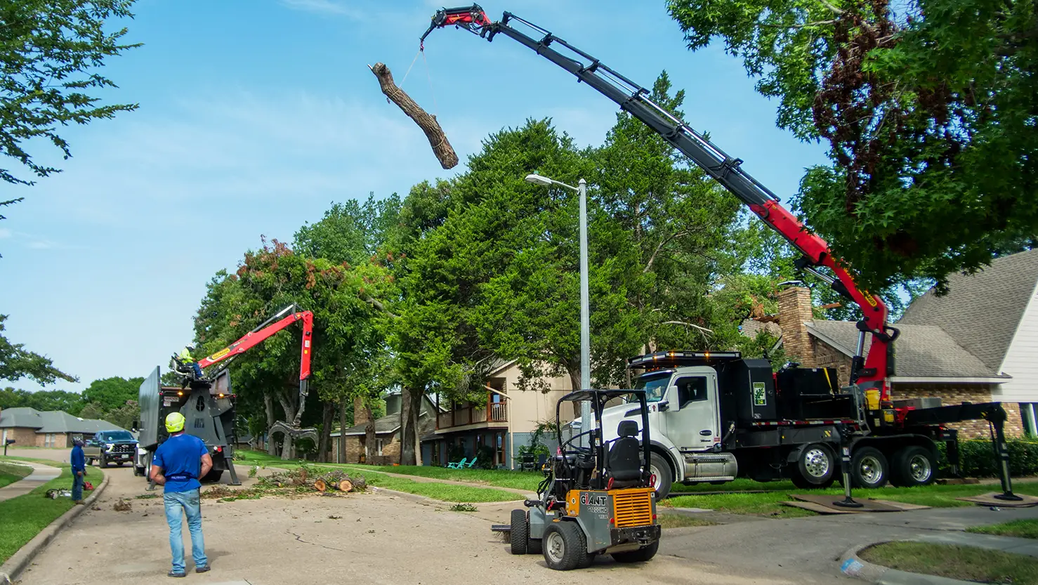 Frisco Emergency Tree Services