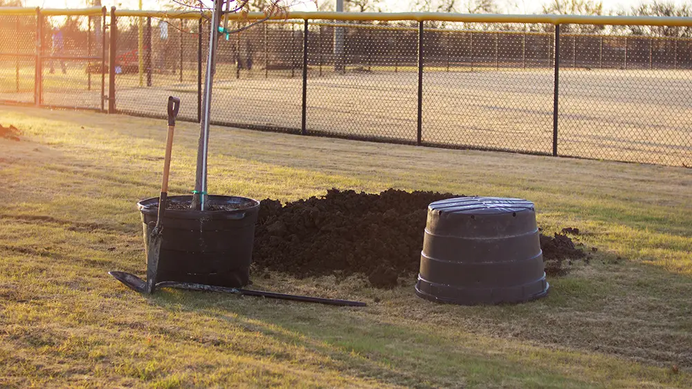 Garland Tree Planting