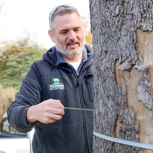 Irving Arborist Services