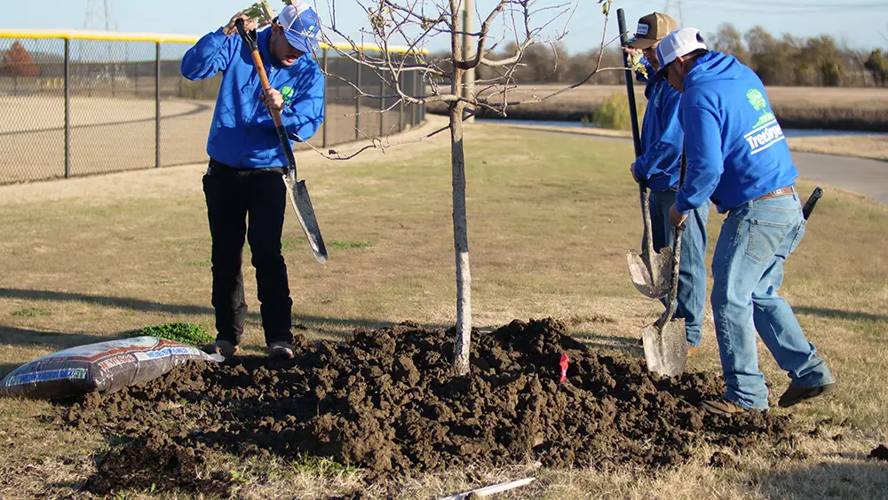 Irving Tree Planting