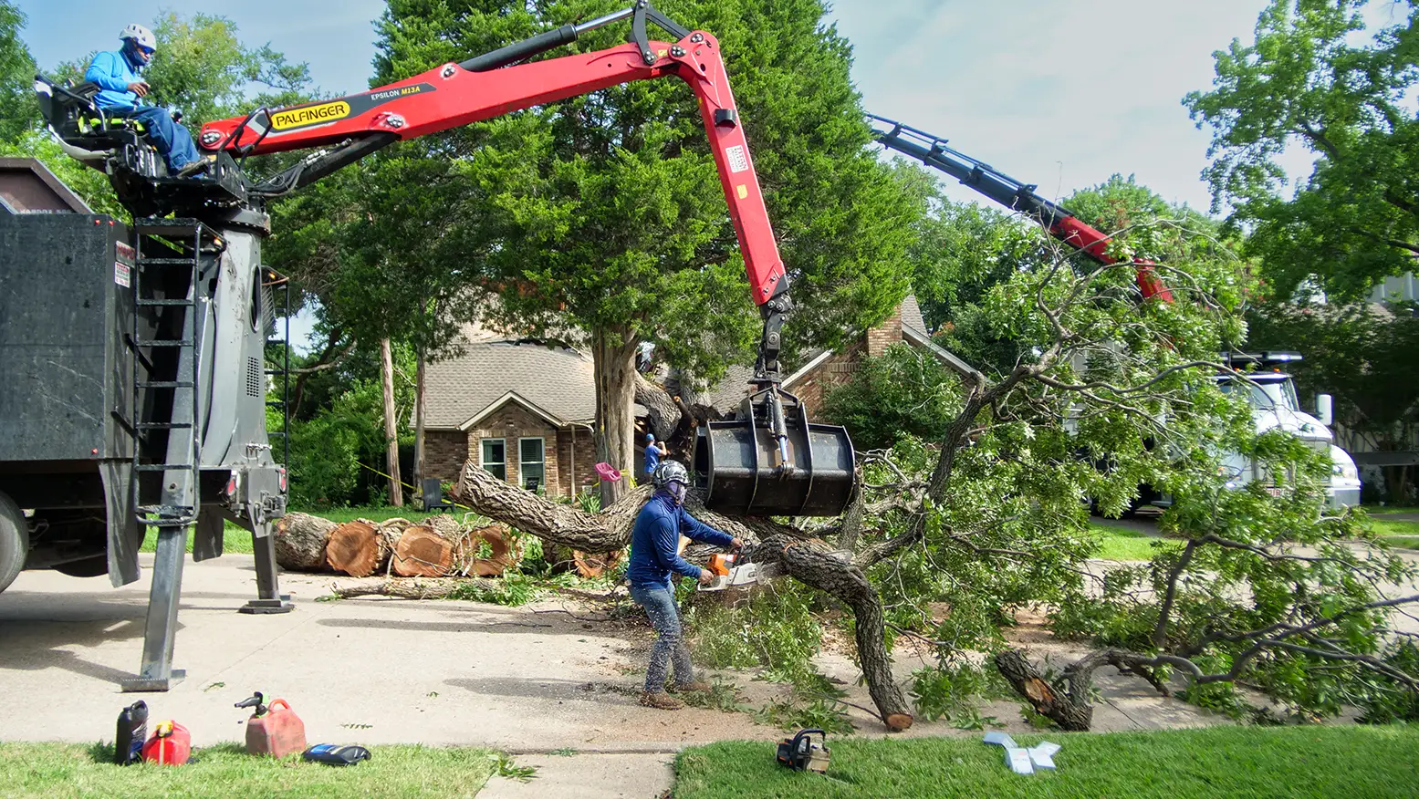 Keller Emergency Tree Services