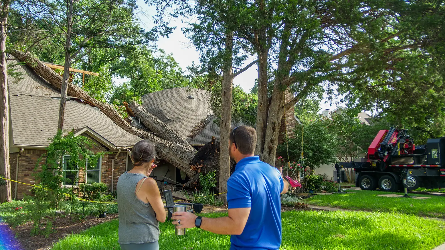 Trophy Club Tree Removal