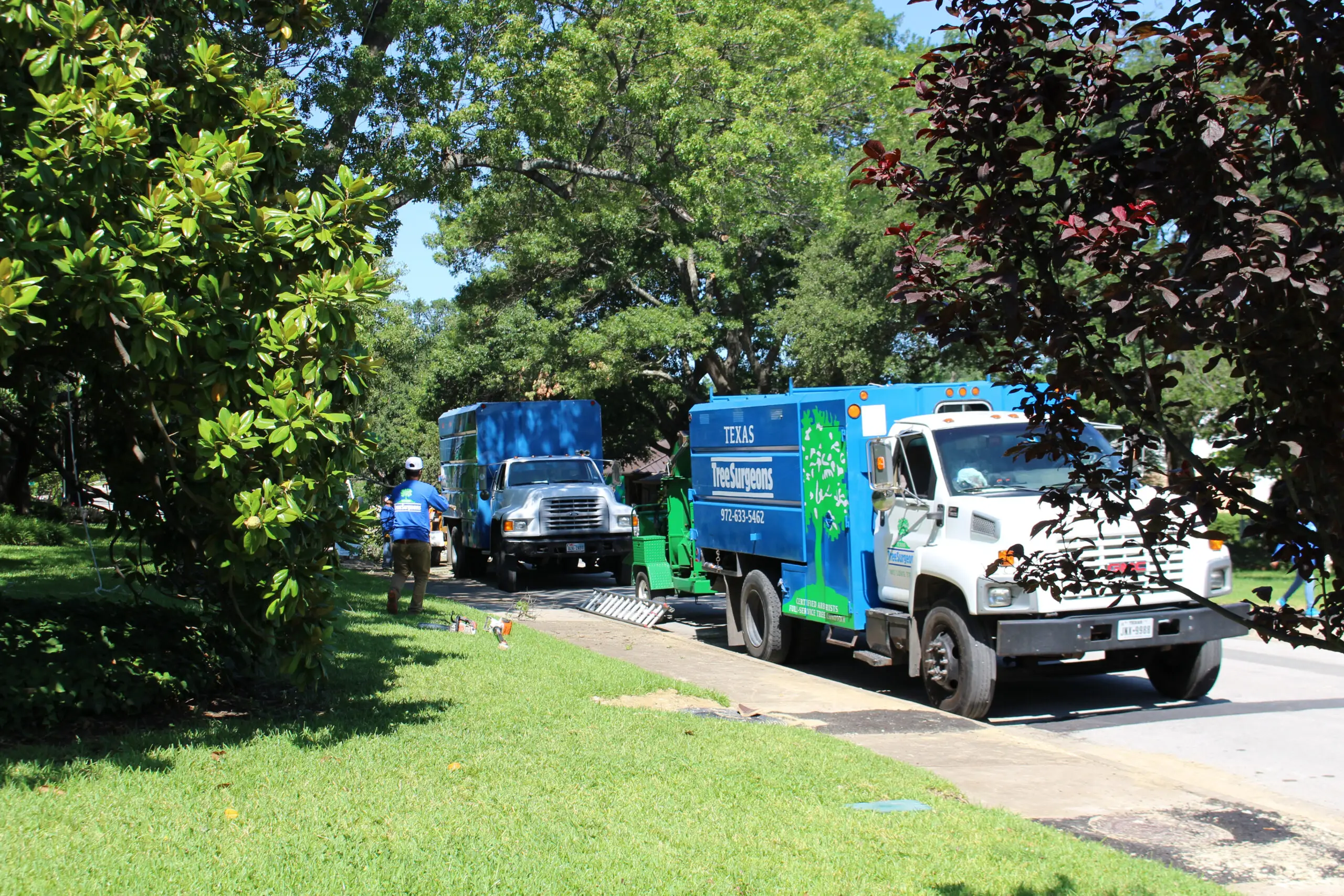 Rockwall Emergency Tree Services