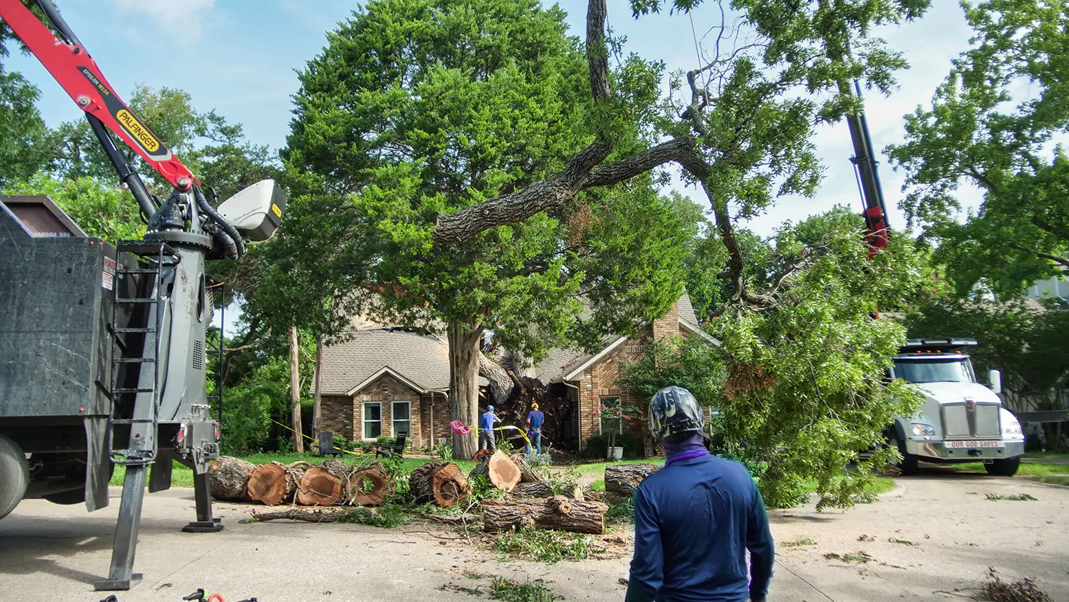 University Park Emergency Tree Services