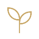 Growth and Development