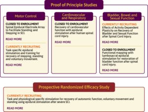 Proof of Principle Studies and Prospective Randomized Efficacy Study