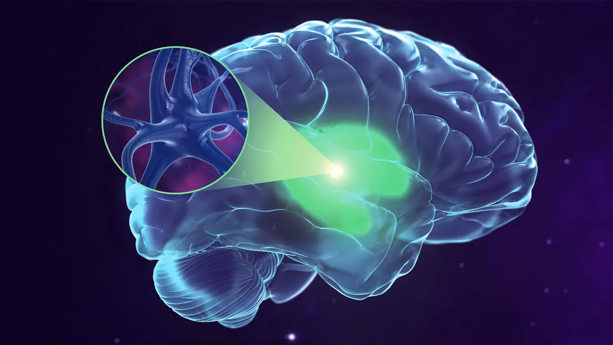 The science behind our weight is more complicated than just diet and exercise