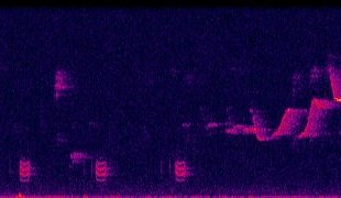 Som chororócinzento brasiliana) Por Renan Betzel Wiki