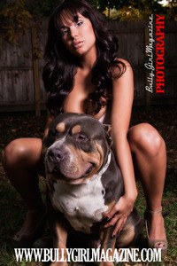 Upload Your Bully, Bulldog, Shorty Bull, and American Pit Bull Terrier Photos for a chance to WIN a FREE Quarter Page Ad in BGM Issue 33... 
